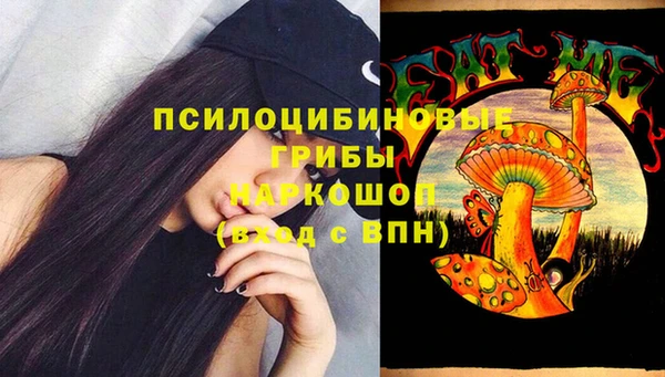 сатива Надым