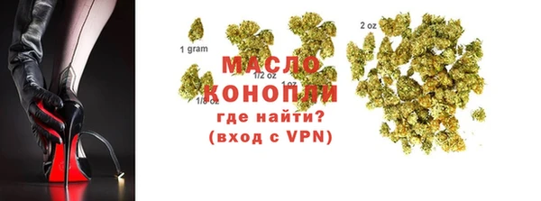 сатива Надым
