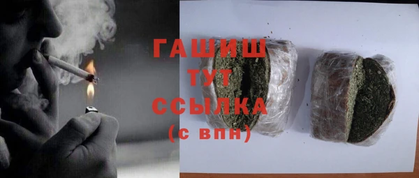 дживик Верхний Тагил