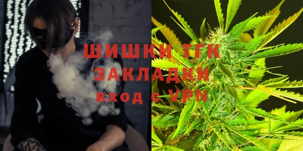 дживик Верхний Тагил
