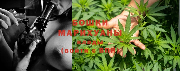 сатива Надым