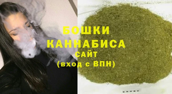 дживик Верхний Тагил