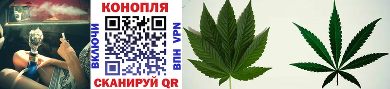 купить закладку  Ноябрьск  Бошки Шишки тримм 